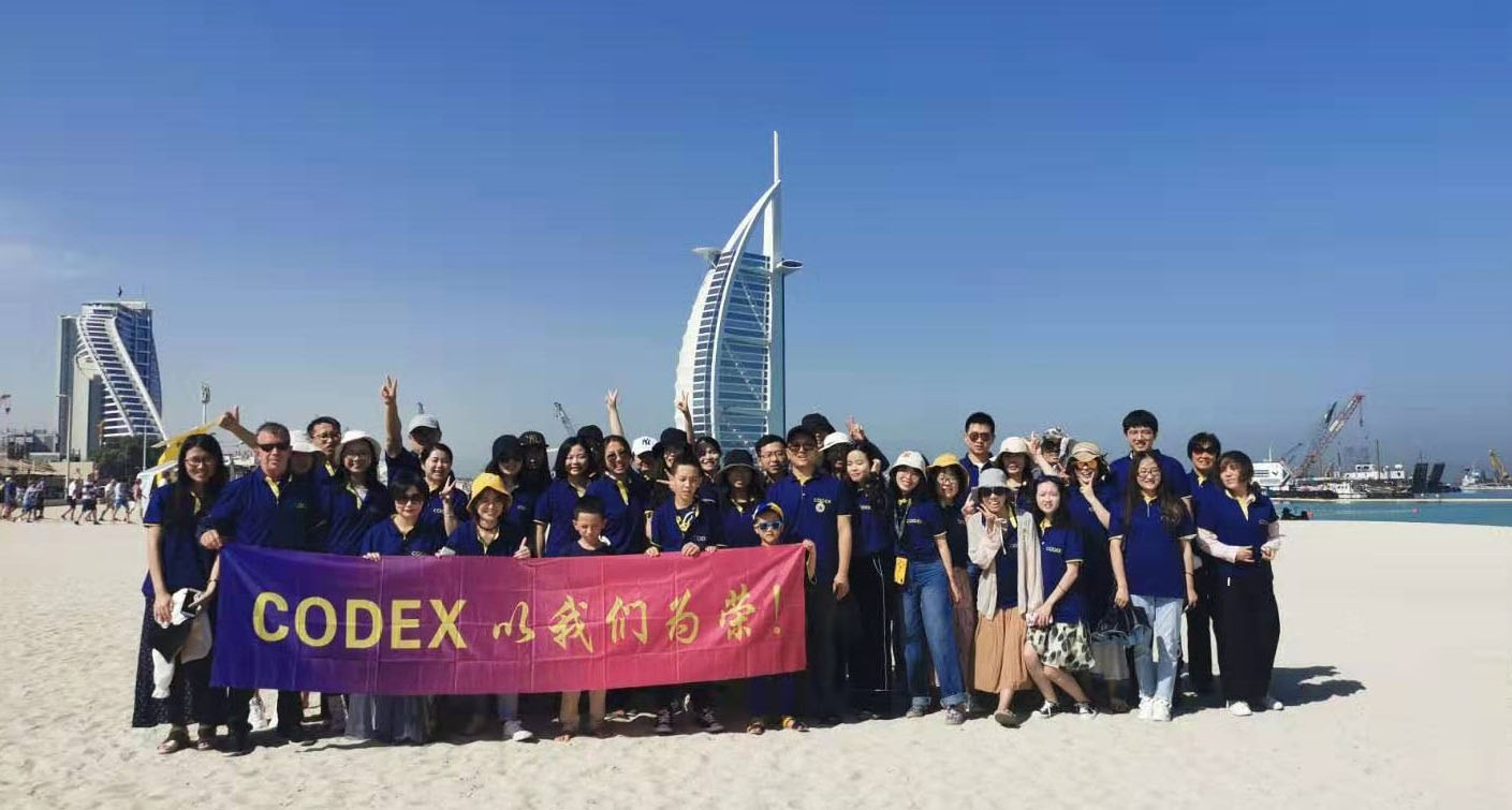 北京科译翻译有限公司2019年年度工作总结年会在迪拜